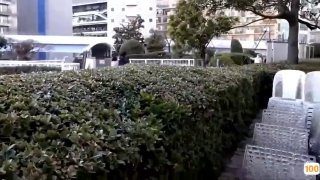 兔子先生 TZ-050 东京约漂亮的美女 咲酱 爸爸今天玩的很开心 奖励300万日元
